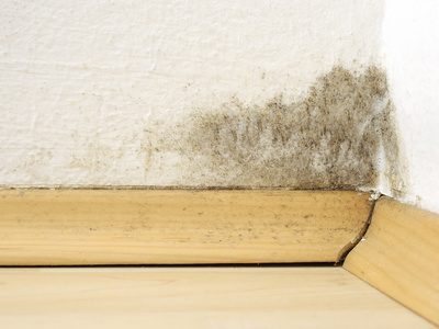 Damp and Mould: The New Rules Every Social Landlord Must Know