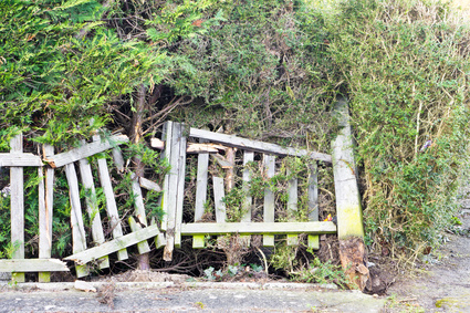 Fence Damage: Landlord or Tenant Responsibility?