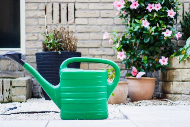 A Landlord’s Guide to Garden Maintenance